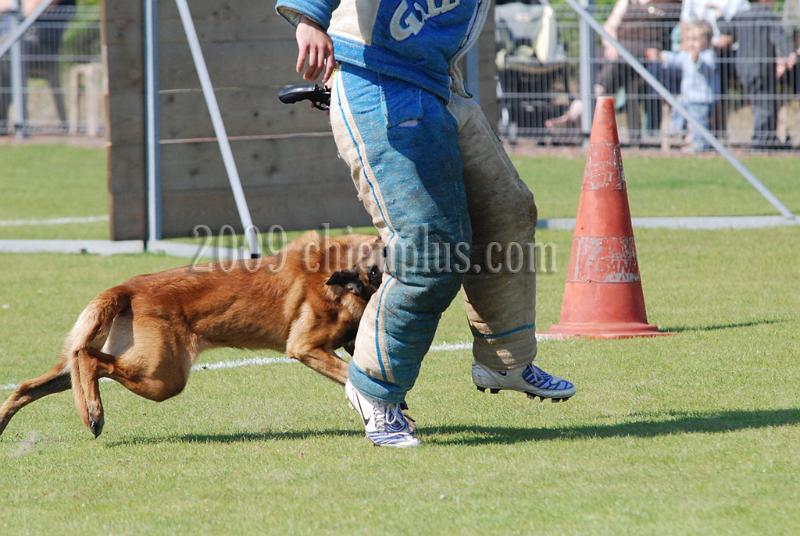 3 EME SELECTIF 2009 GRANDE SYNTHE 452.jpg